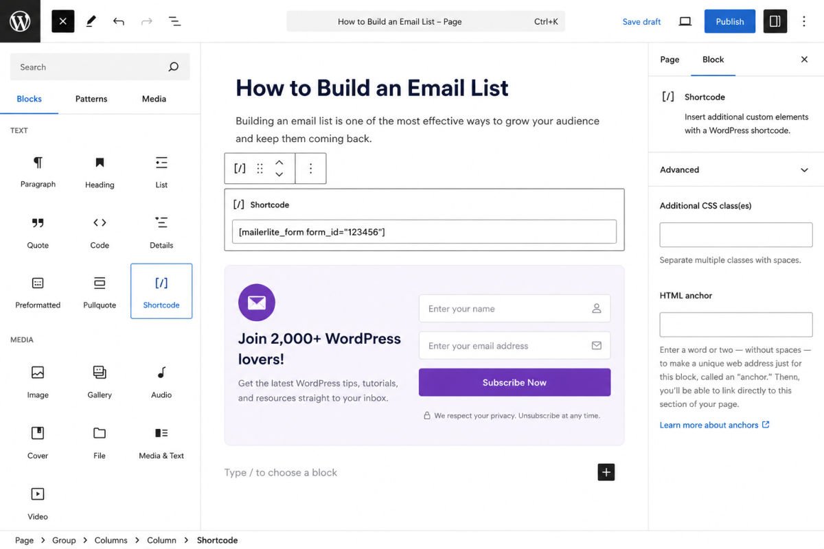 How to Build an Email List: A Beginner's Guide to Mailchimp/MailerLite 3 WordPress block editor interface setup
