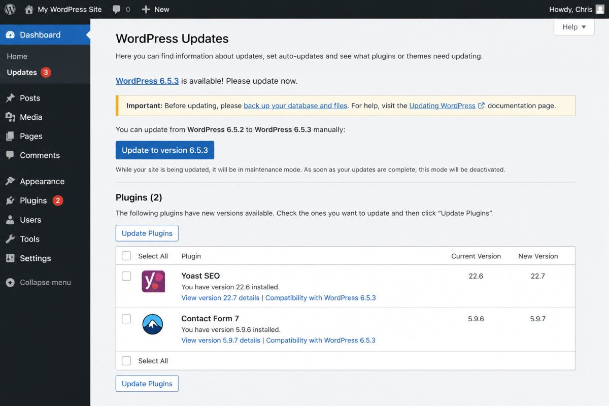 How to Update WordPress Safely (Core, Plugins & Themes) 2 WordPress Updates Dashboard Interface